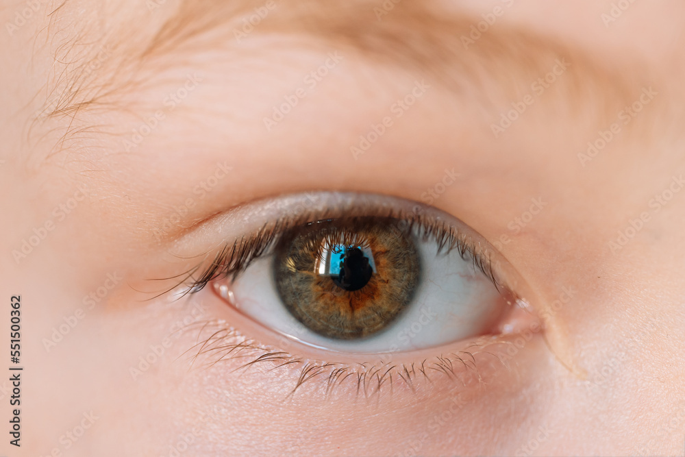 Obraz premium Green-brown eye of a boy close-up.