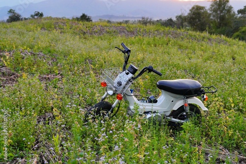 motorcycle in the forest photo