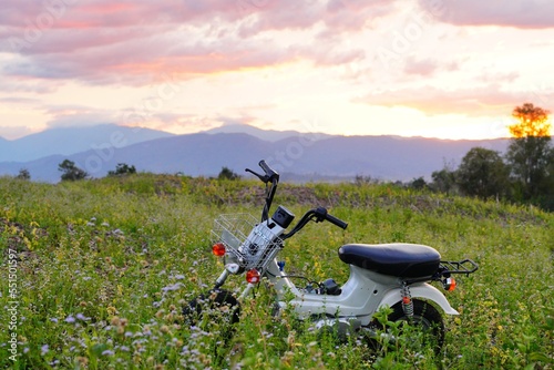 motorcycle in the forest photo