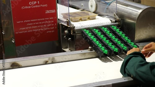 Dates factory worker manually reorient products on conveyor belt photo