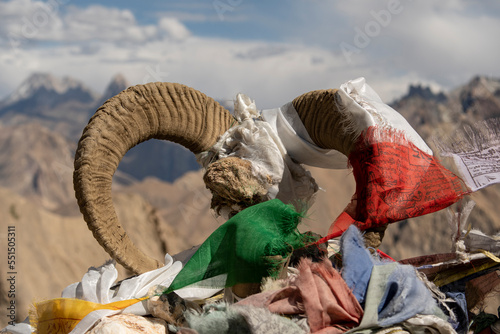 A fawn with prayer flags in the Himalayas. A moonscape of rocky mountains.