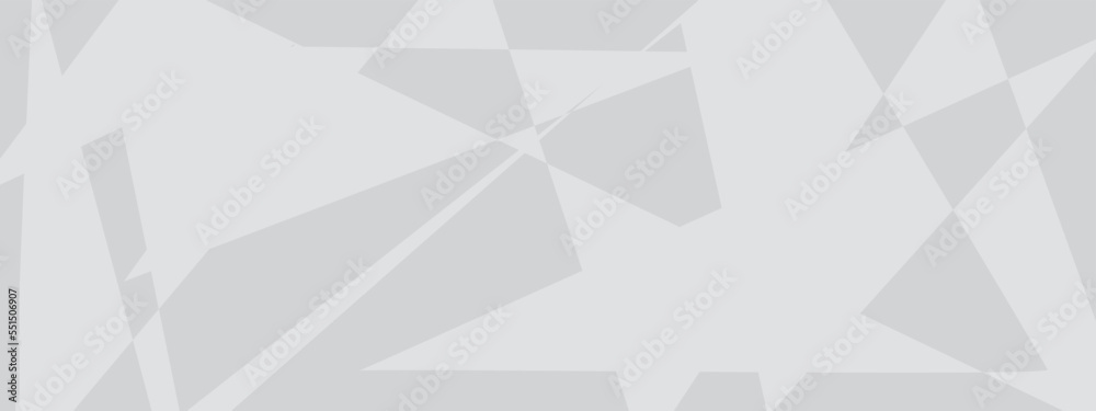 Fototapeta premium Abstract background with liens and triangles shape on white background with texture. Grey, white abstract stripe background geometry shine, geometric lines background. Vector illustration.