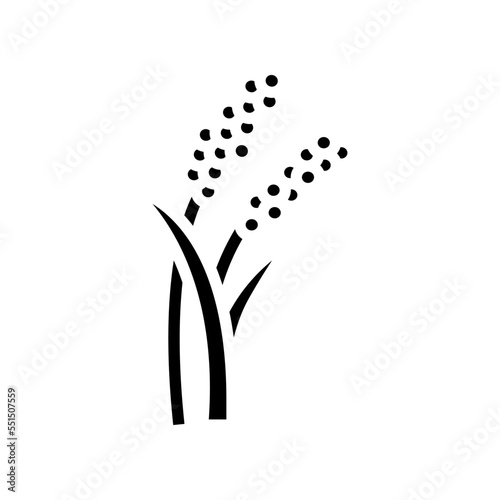 millet plant food glyph icon vector. millet plant food sign. isolated symbol illustration