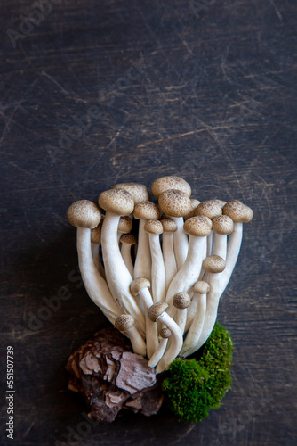 Cluster of fresh brown shimeji mushrooms close up. shimeji mushrooms on wooden background