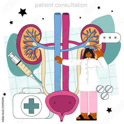 Urologist concept. Urinary system examination, kidney and bladder