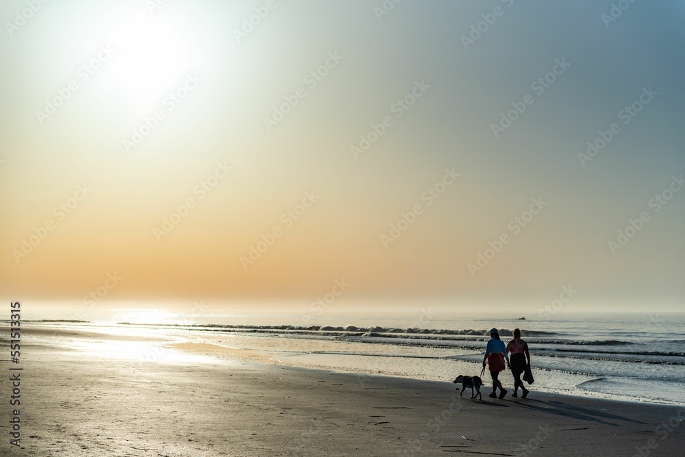 Fototapeta premium Girls with their dog strolling along the beach in Isle of Palms, SC, USA