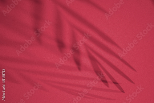 Beautiful shadow from tropical palm leaf, concept color of the year 2023.