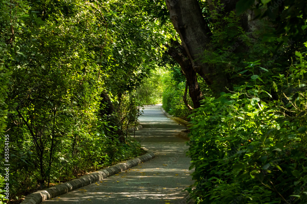 Views of the Gurgaon eco path