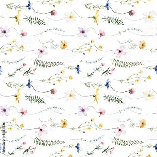 Watercolor floral seamless pattern. Yellow chamomiles, blue cornflowers, violet, pink wild flowers. Cut out hand drawn PNG illustration on transparent background. Watercolour isolated clipart drawing.
