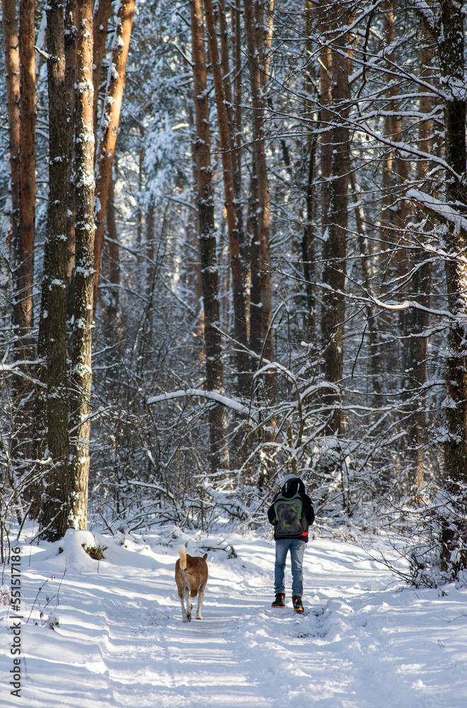 Φωτογραφία The dog escorts the boy to school on the way through the snowy park