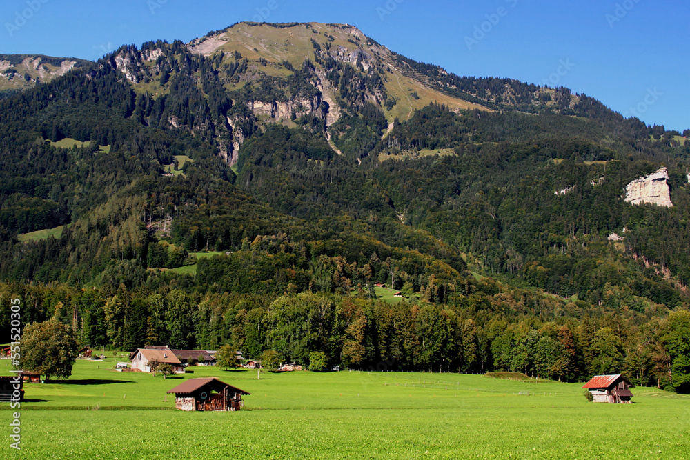 Landscape view of a meadow at the foot of the Swiss Alps with barns in the town of Ballenberg, near Brienz, Switzerland