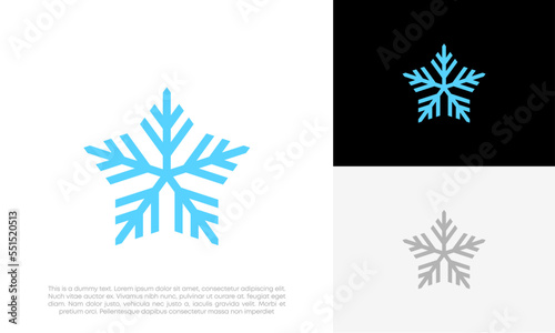star with snowflake logo design vector