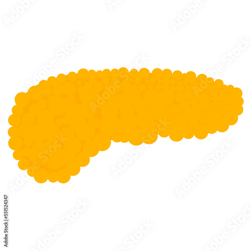 Pancreas vector icon on white background. Human internal organs cartoon design.