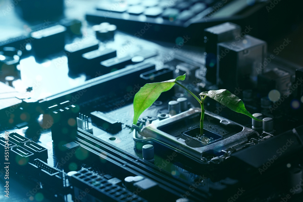 Trees are growing on circuit board technology innovations. Digital Convergence and Technology Convergence.Green Computing, Green Technology, Green IT, CSR, and IT ethics Concept. - obrazy, fototapety, plakaty 