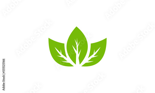 green leaf icon