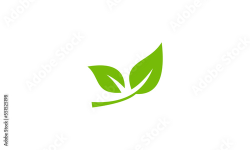 green leaf icon © rian
