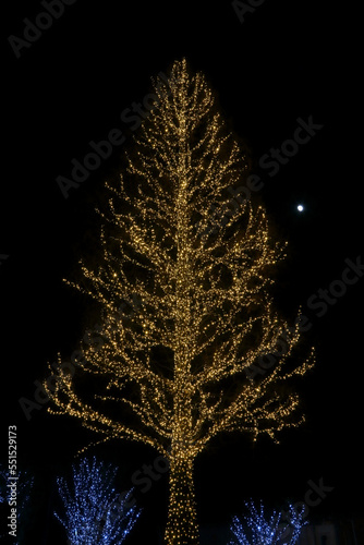 Simple Christmas lights and moon.