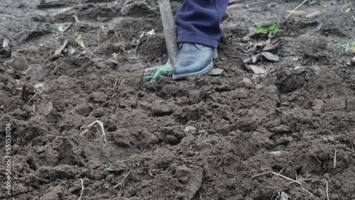 Wallpaper Mural a farmer digs black soil with an old shovel Torontodigital.ca