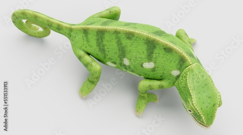 Fototapeta Naklejka Na Ścianę i Meble -  Realistic 3D Render of Flap Necked Chameleon