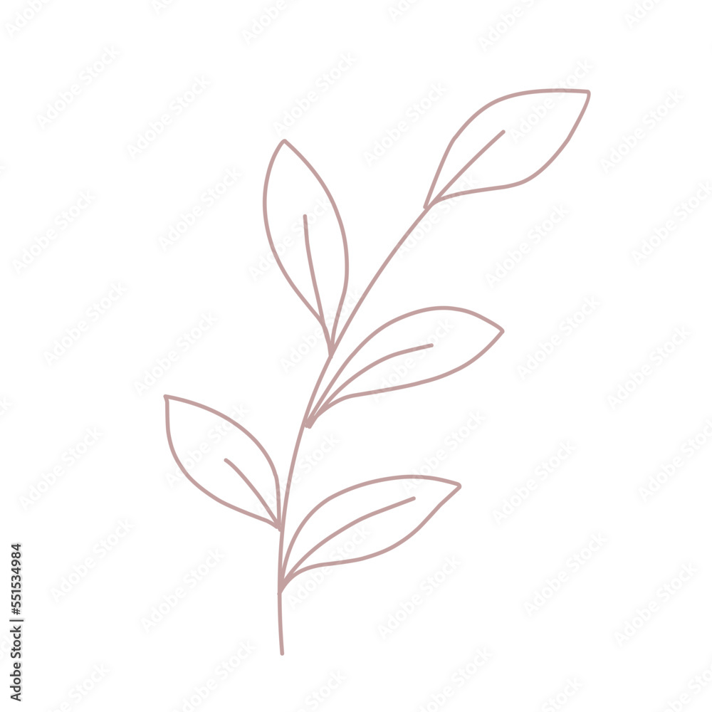 illustration of a branch of a plant illustration of a branch of a plant