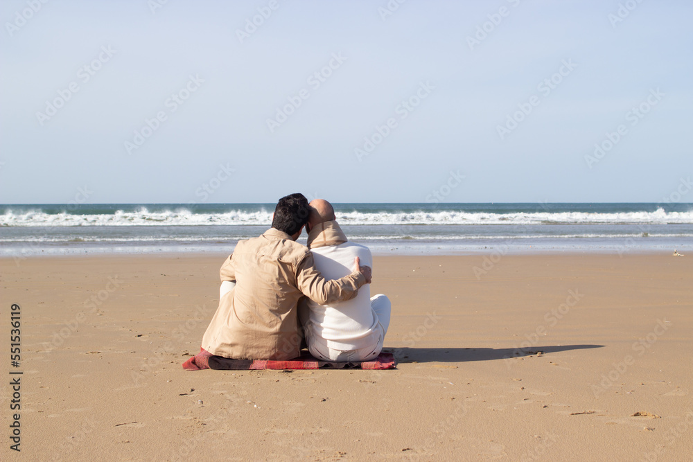 Homosexual partners resting on beach. Rear view of gay couple sitting on sand and looking at sea together. LGBT concept