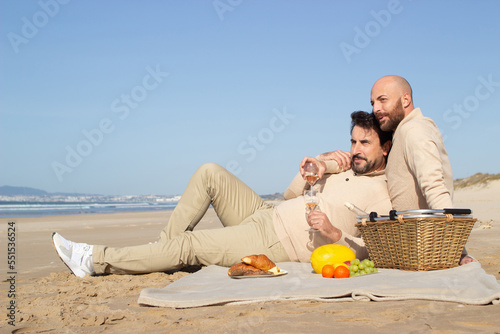 Bald man drinking champagne with boyfriend at beach picnic. Handsome bearded gay couple sitting on blanket and talking at date. Romance concept