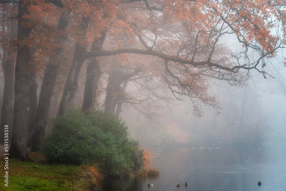 Obraz premium mist over the river
