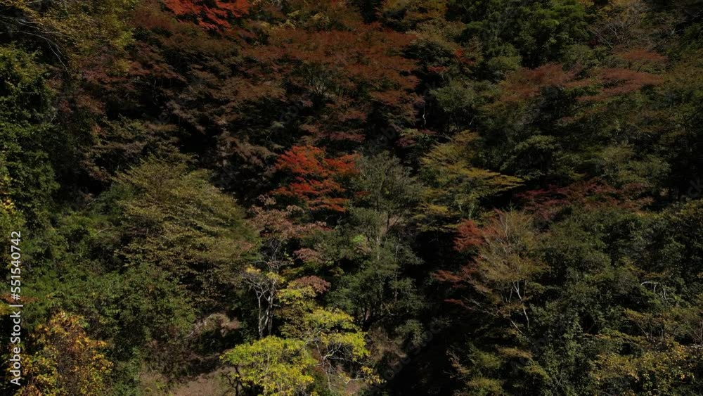 千本山 ドローン空撮 千本山 ドローン空撮