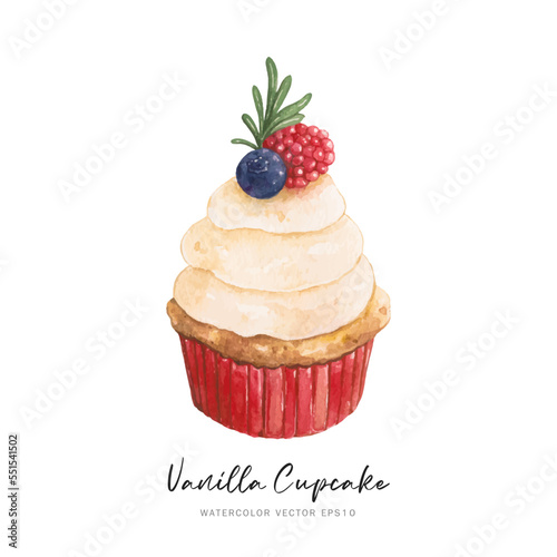 Cute cupcake dessert with berries, watercolor vector isolated on white background