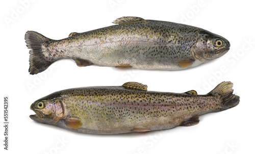 Two freshly caught trouts