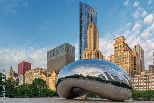 The bean Chicago 