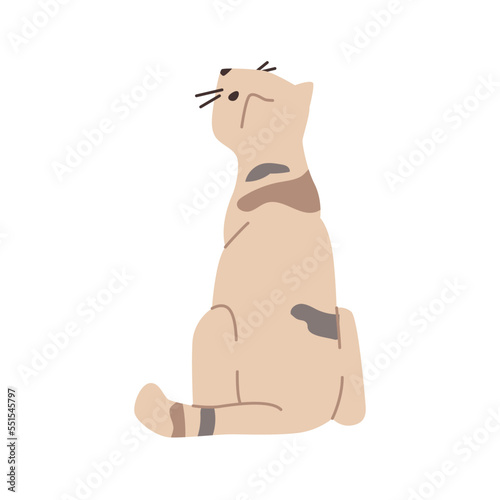Cat character sitting and looking up, isolated kitty with spots on fut. Cute personage, domestic pet, feline animal. Mammal with long tail. Vector in flat style