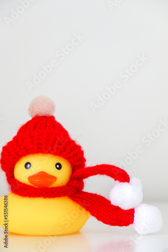 Freezing yellow rubber duck wrapped in a red cotton bobble hat and red scarf. Cold weather and winter concept. Lots of copy space.