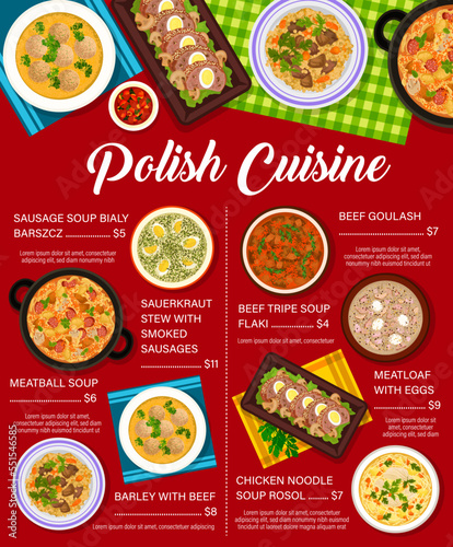 Polish cuisine menu, restaurant lunch or dinner dishes, vector food of Poland. Traditional Polish cuisine food, gourmet dishes of beef goulash, sauerkraut stew with smoked sausages and meatball soup