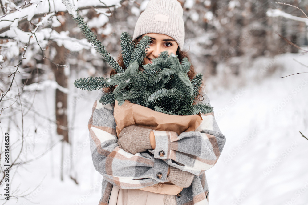 Fototapeta premium A stylish girl in a snowy forest hides behind the branches of a nobilis fir