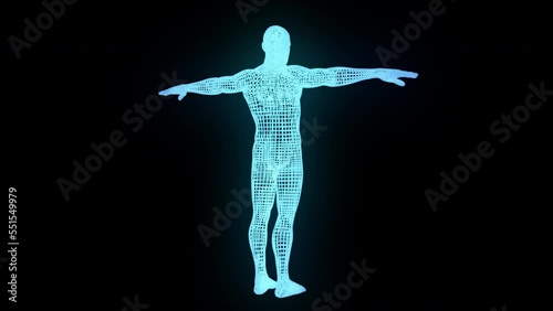 Man body wireframe. Computer generated 3d render