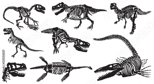 Graphical set of dinosaur skeletons isolated on white background,vector illustration,paleontology