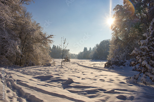 Schneelandschaft - Park