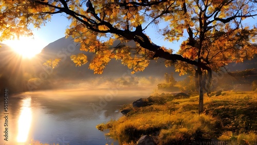  美しい秋の朝日
