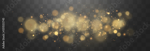 Bokeh lights effect isolated on png background. Soft blured bokeh and lights. Festive golden luminous background. Vector Christmas concept isolated on transparent background