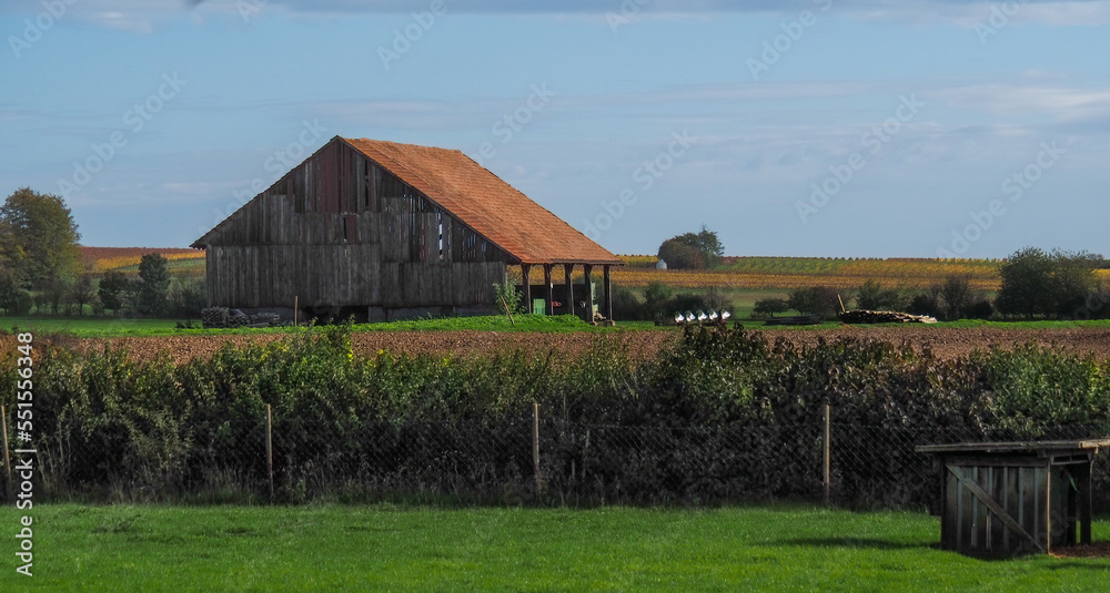 Old wooden barn surrounded by vineyards in Germany's wine country.