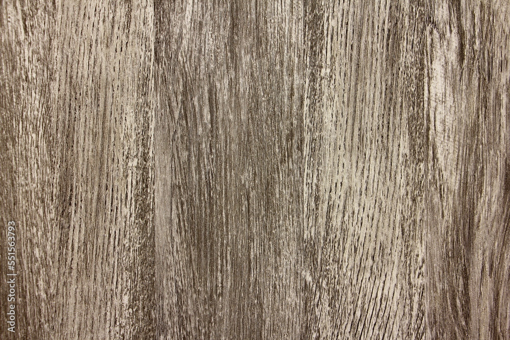 Obraz premium Grey wood background texture, natural solid wood pattern.