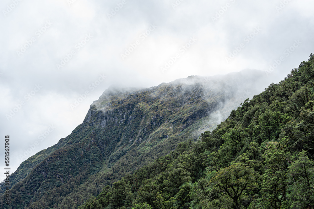 Mountains with forest and fog in New Zealand. Milford Sound mountains in fog an low clouds..