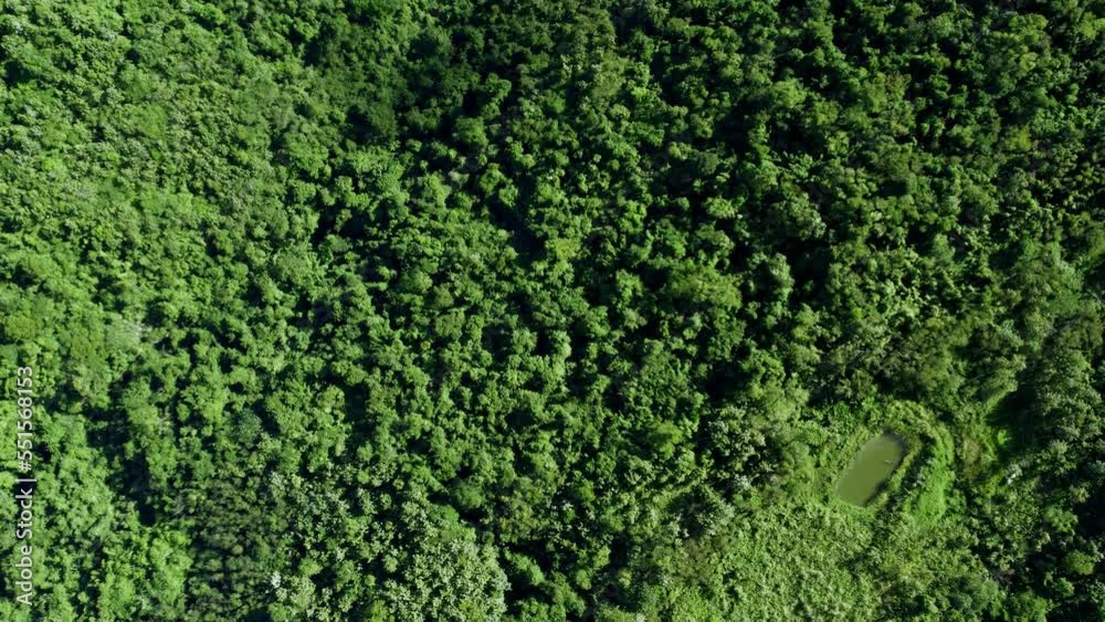 Drone footage of Pico do Arieiro in the island of Madeira, Pine tree in the mist aerial shot, Portugal during a beautiful warm sunset shining over green mountain peaks, valleys, and a cloudy horizon, 