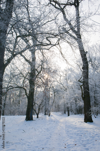 A sunny frosty morning