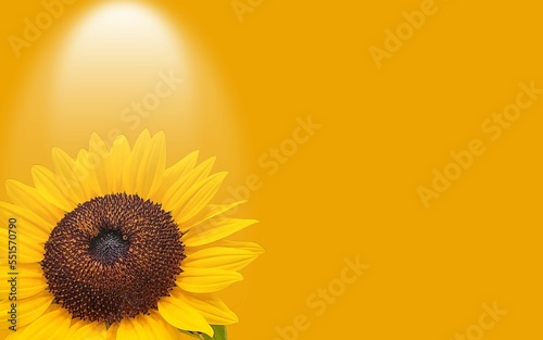 illuminated sunflower with yellow background