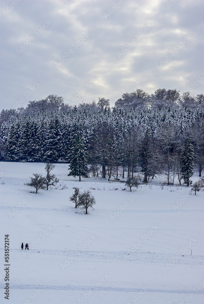 Winter landscape of snow-covered pastures and a dark forest on the Swabian Alb near Muensingen, Baden-Wurttemberg, Germany. Winter landscape of snow-covered pastures and a dark forest on the Swabian Alb near Muensingen, Baden-Wurttemberg, Germany.