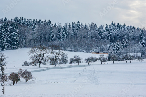 Winter landscape of snow-covered pastures and a dark forest on the Swabian Alb near Muensingen, Baden-Wurttemberg, Germany. photo