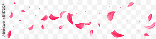 Pink Blossom Beauty Vector Transparent Panoramic
