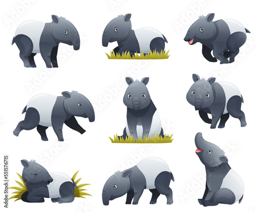 Cute Malayan Tapir as Asian Animal with White Patch and Short Nose Trunk in Different Pose Vector Set